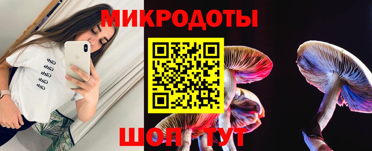 Псилоцибиновые грибы прущие грибы  Вход с VPN  Углич  Галлюциногенные грибы Psilocybe 